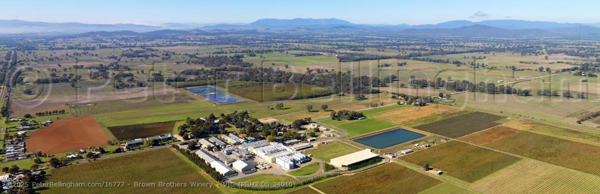 Peter Bellingham Photography Brown Brothers Winery - VIC (PBH3 00 34010)